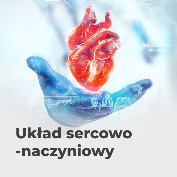 Układ sercowo-naczyniowy