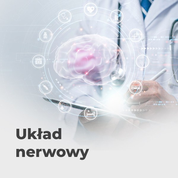 Układ nerwowy